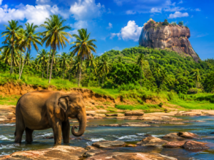 Sri Lanka - Egzotyka Czeka!
