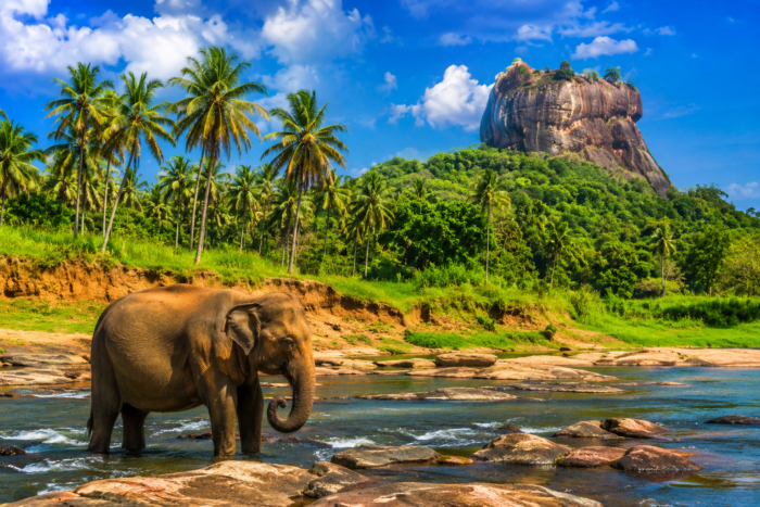 SRILANKA SRILANKA